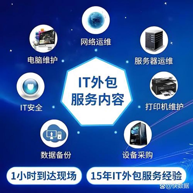 系统定制开发：企业成长的加速器